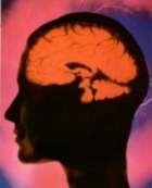Psicologia e neuroscienze